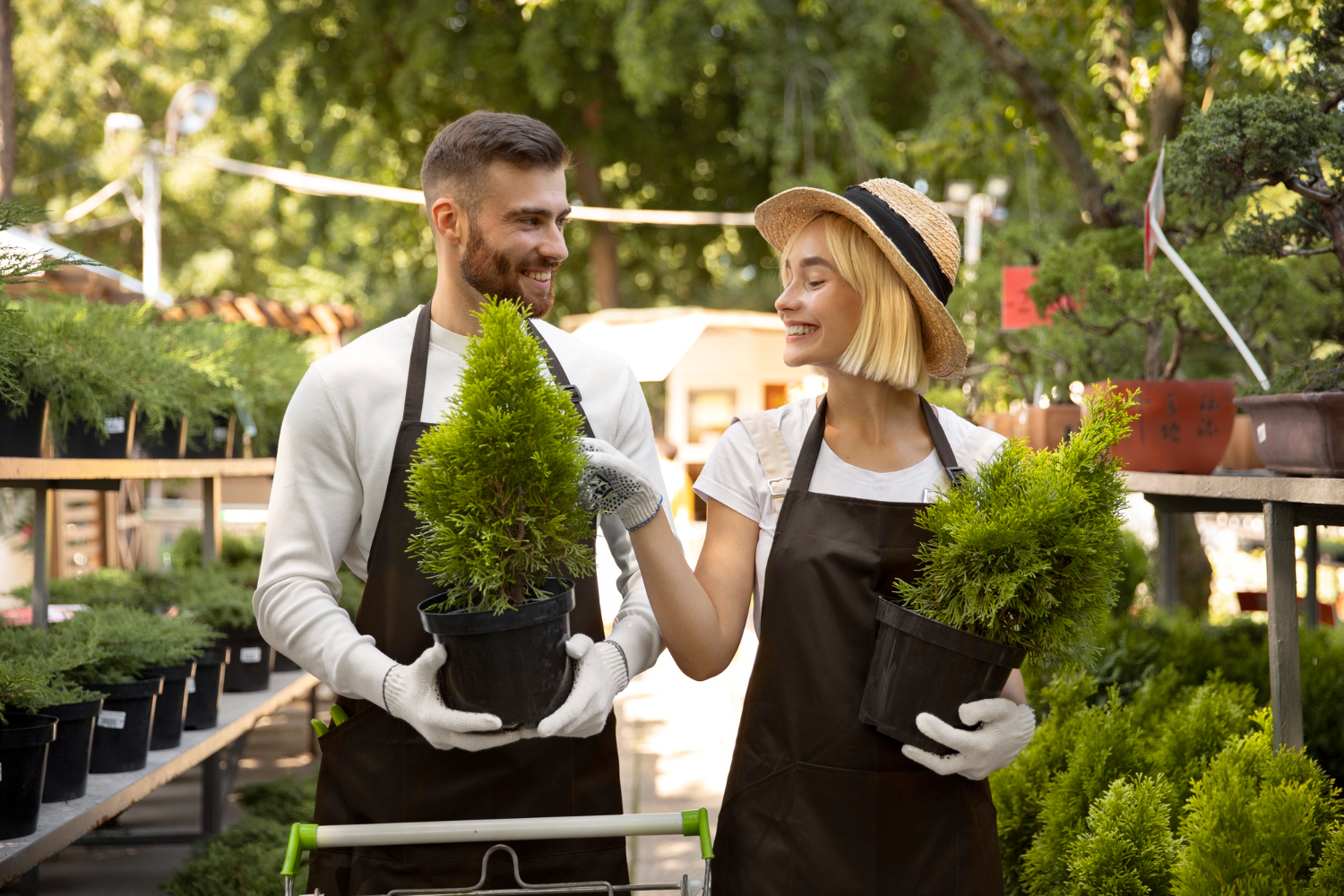 Maraîchers, ventes de plants de légumes à Bordes Maraîchers, ventes de plants de légumes à Bordes